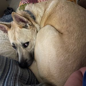 Meet your Posher, Andrea